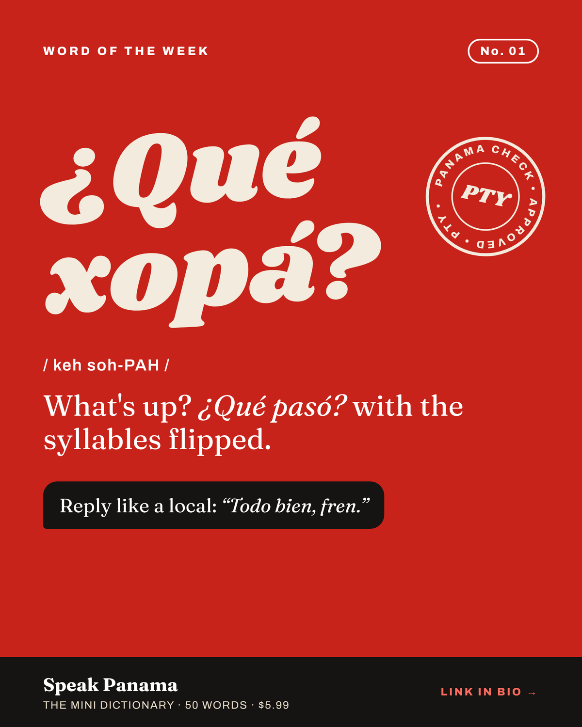Speak Panama | The Mini Dictionary