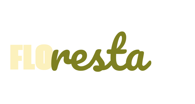 Floresta Panamá